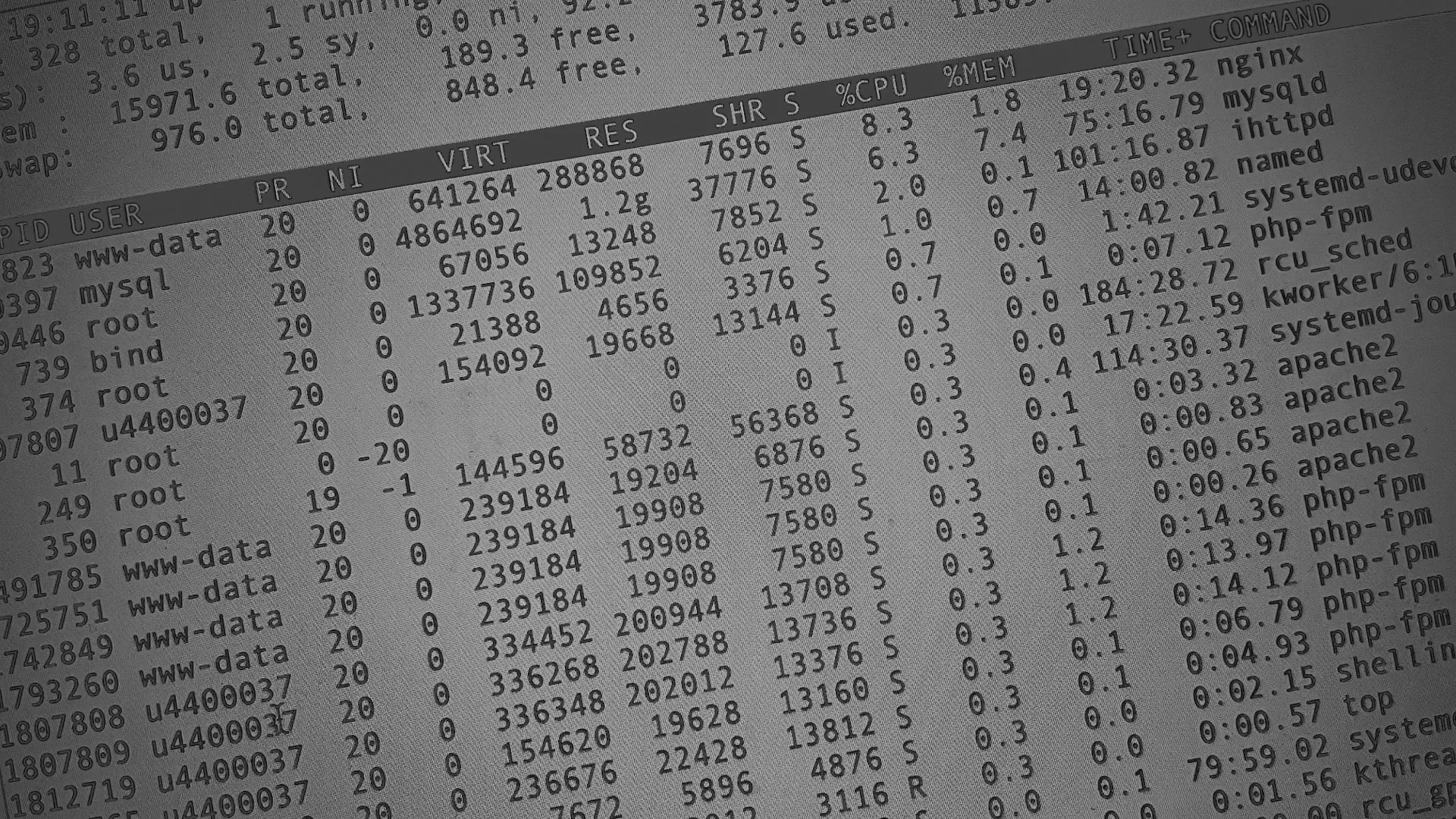 Настройка сервера в Камышине