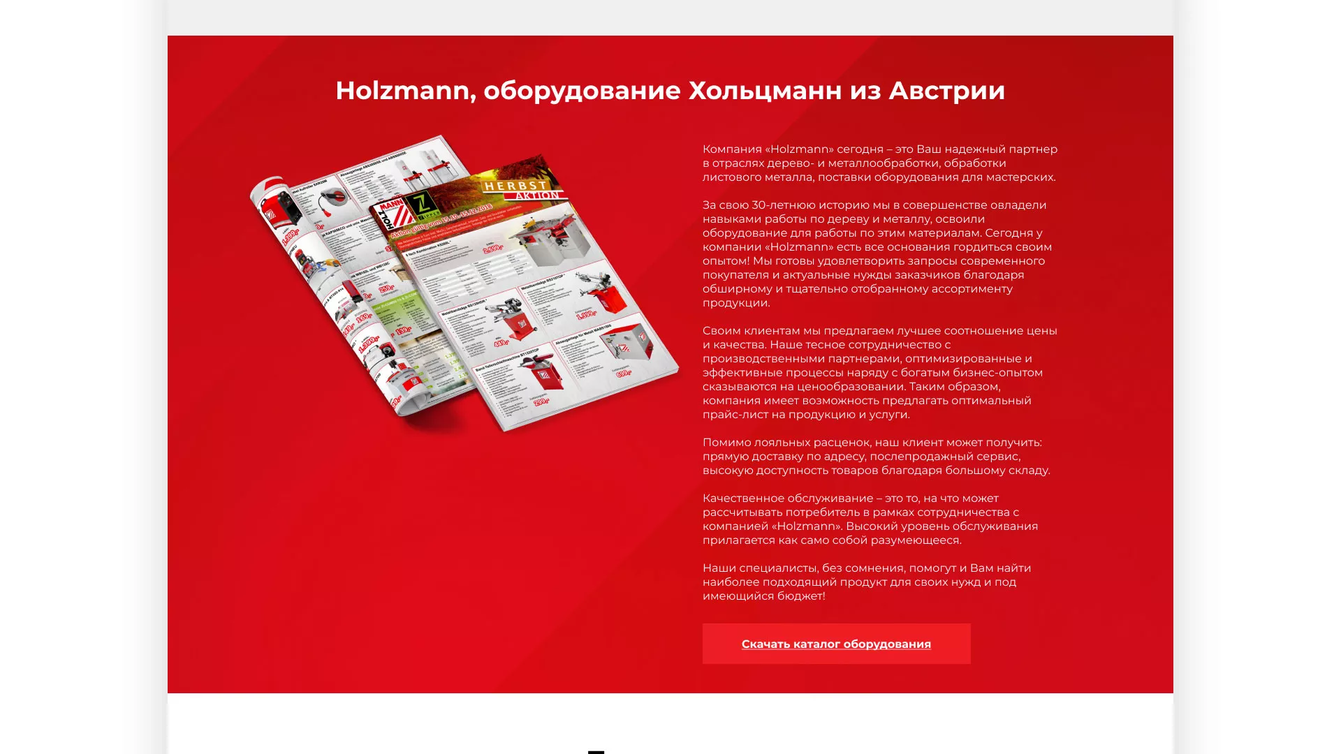 Создание сайта компании «HOLZMANN Maschinen GmbH» в Камышине